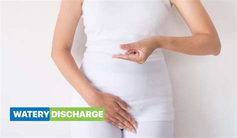 vag leak|Watery Discharge Feels Like I Peed Myself: Why it Happens